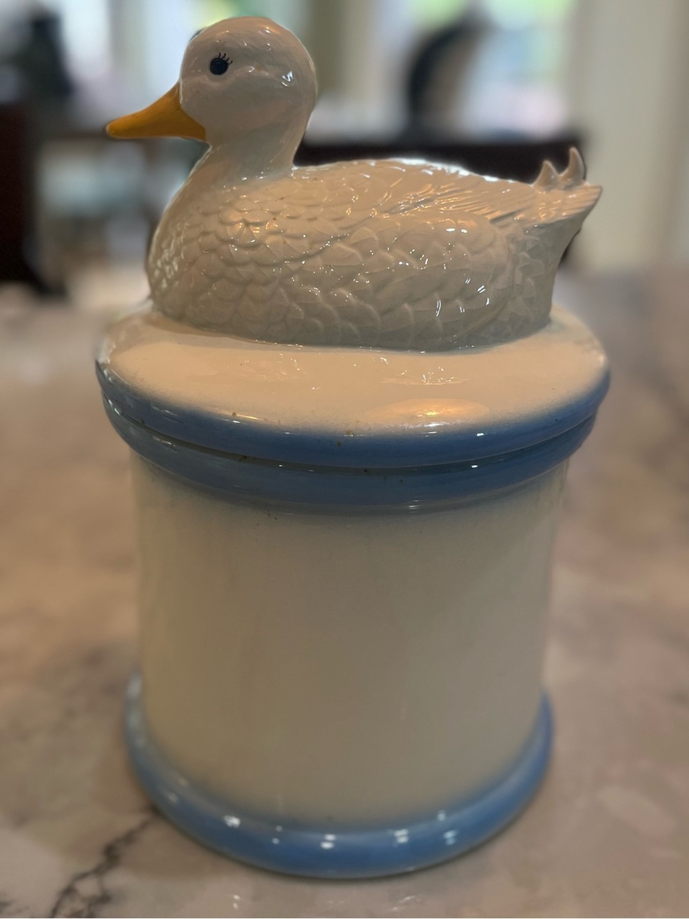 VTG Ceramic Pottery Duck Cookie Jar  Or Canister 11”